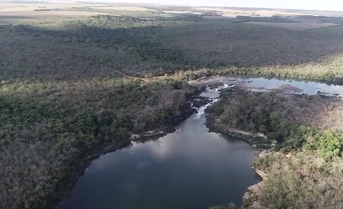 Coleta de sementes nativas gera renda para população