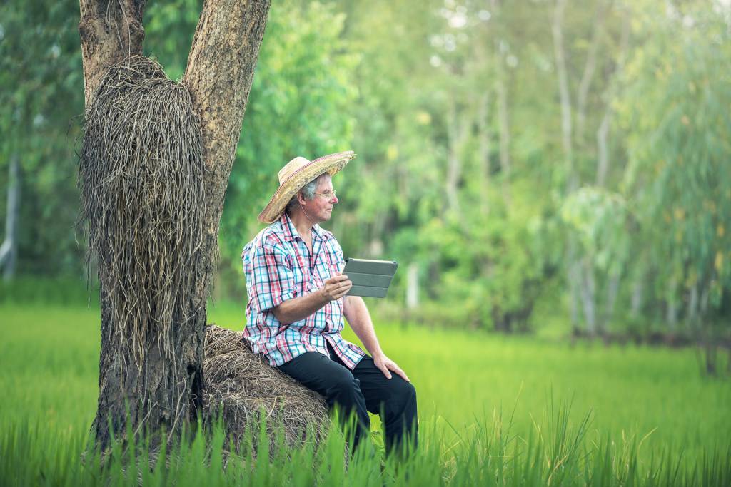 Dia do Engenheiro Agrônomo é comemorado hoje
