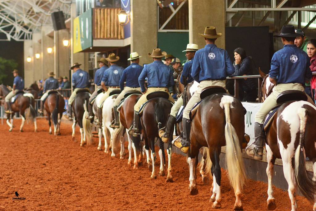 44ª Exposição Nacional do Cavalo Mangalarga movimenta mais de R$ 3 milhões 