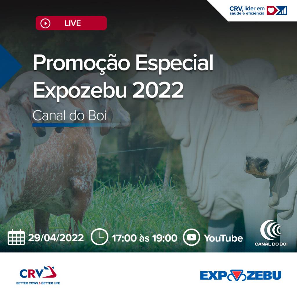 CRV realiza ação de vendas de material genético, hoje no Canal do Boi