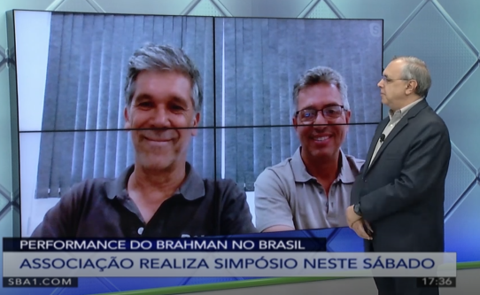 ACBB divulga resultados da primeira prova de eficiência da raça Brahman