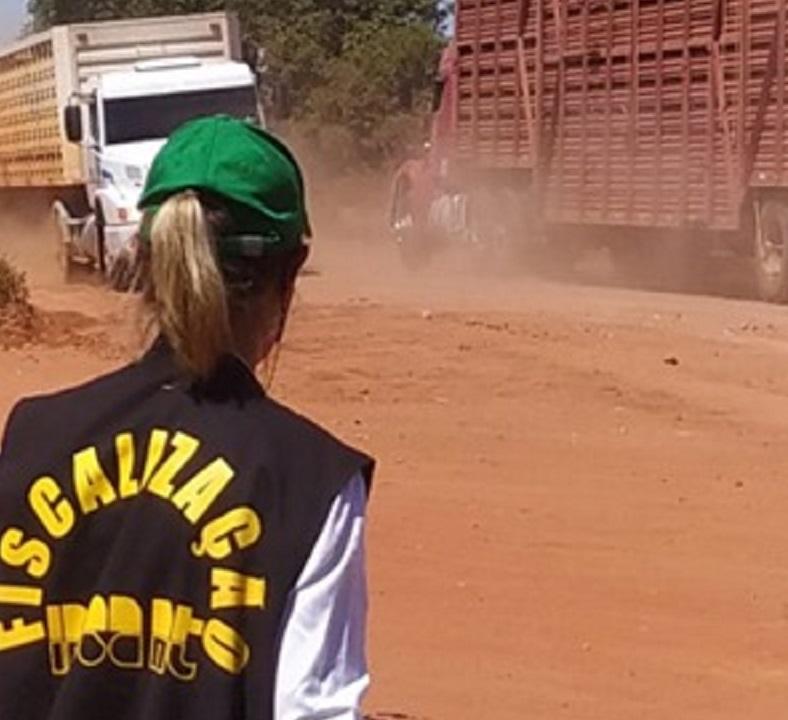 Trânsito de animais sem documentação lidera irregularidades fiscalizadas pelo Indea MT