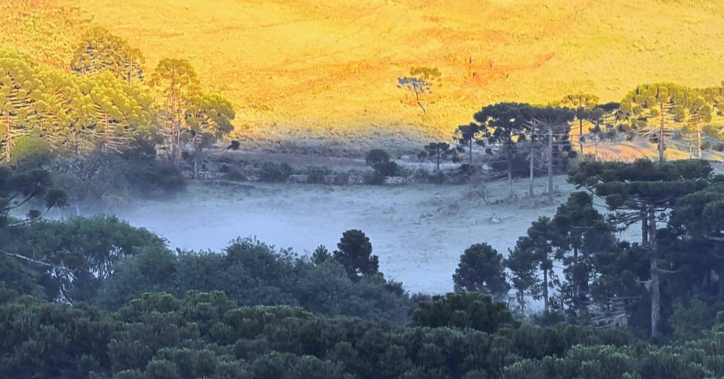Dezembro começa gelado na Serra Catarinense