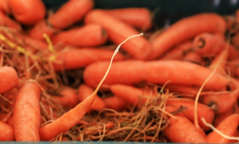 Clima prejudica produção e eleva preços de legumes e hortaliças no Paraná
