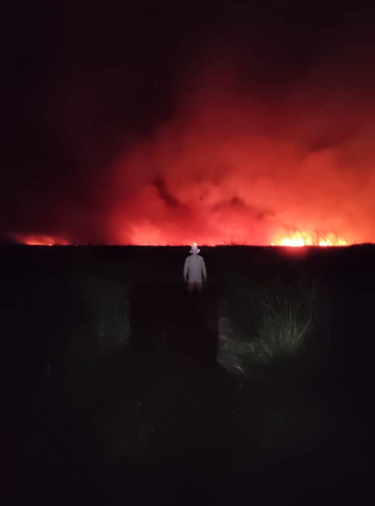 Raio causa incêndio em parque estadual de MS. Veja imagens