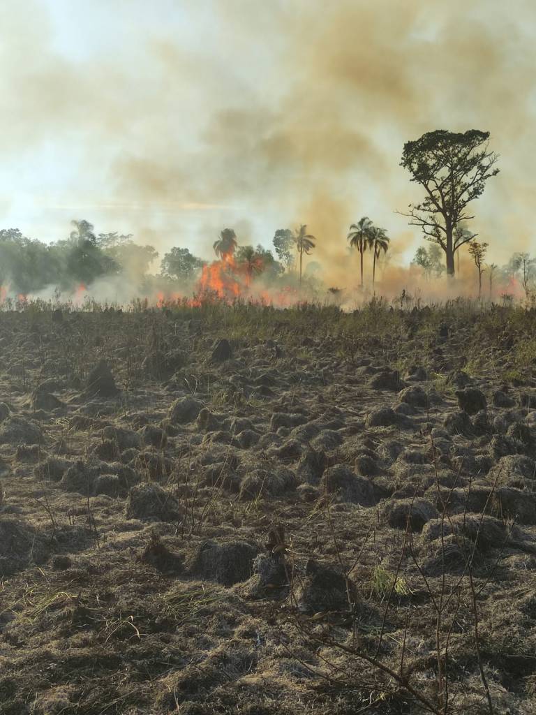 Mato Grosso do Sul entra em estado de emergência ambiental até dezembro