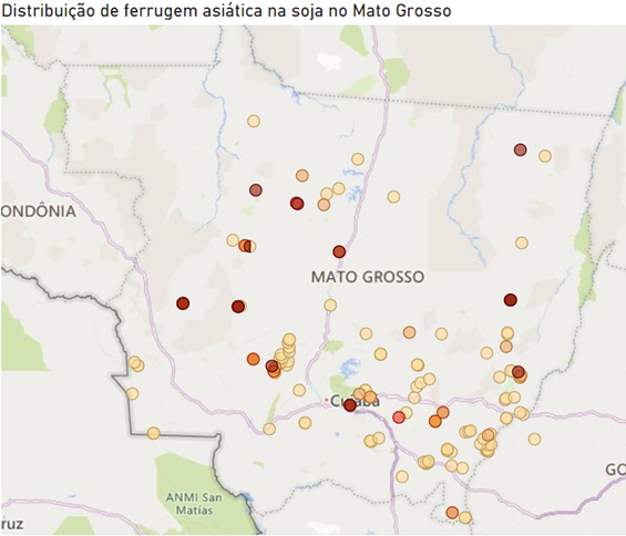 Mato Grosso lança mapa que mostra detecção da ferrugem asiática