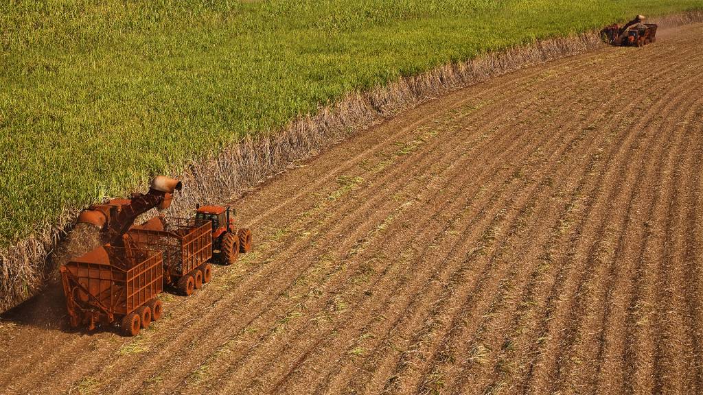 Moagem de cana cresce mais de 40% em 12 meses