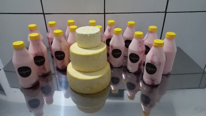 Queijaria premiada no Paraná trabalha com produção artesanal