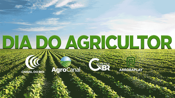 PROGRAMAÇÃO ESPECIAL
