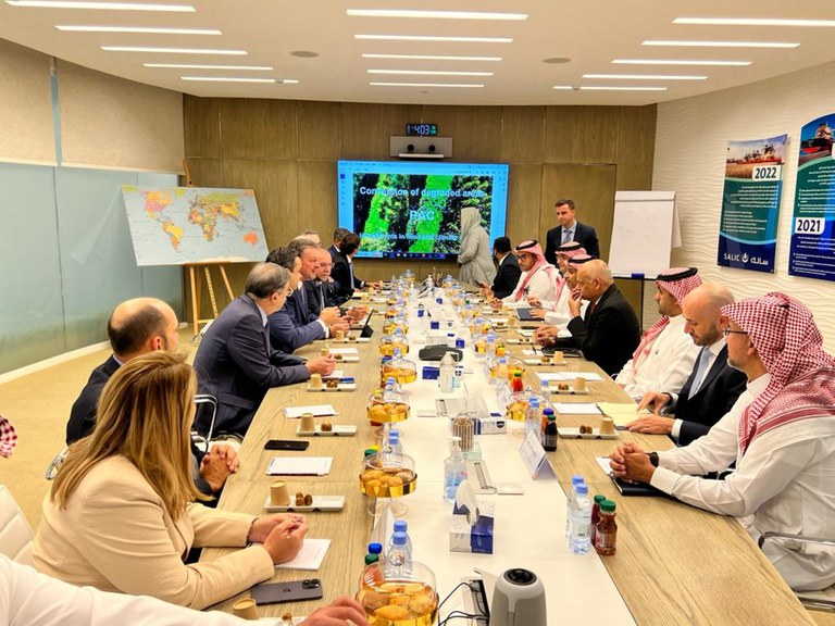 Arábia Saudita entra no programa brasileiro de recuperação de pastagens