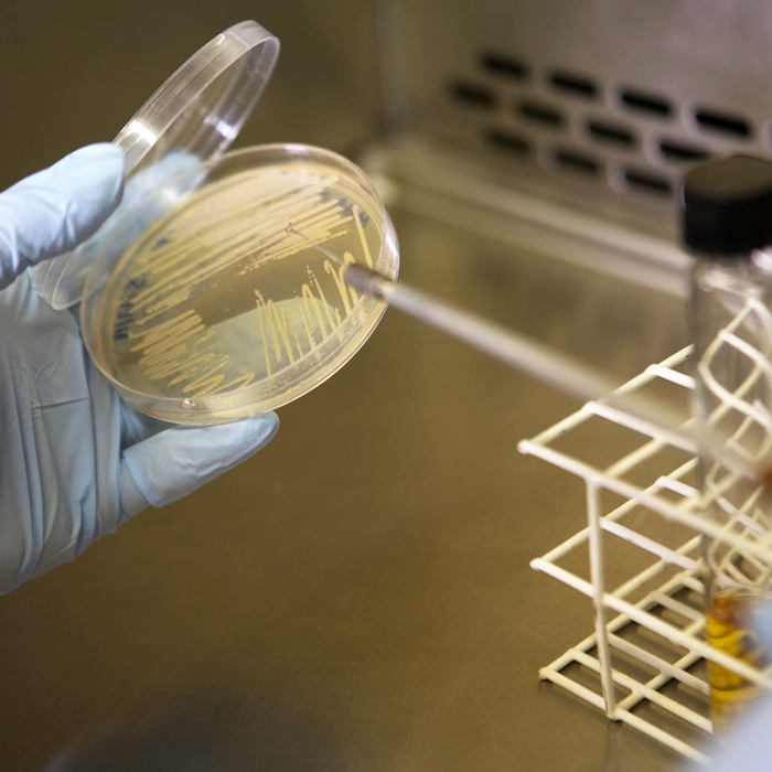 Cresce o uso de bioinsumos na agricultura