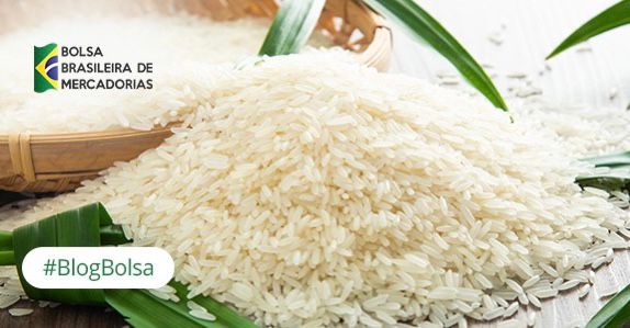 BBM realiza leilão de 1.520 sacas de arroz nesta segunda 