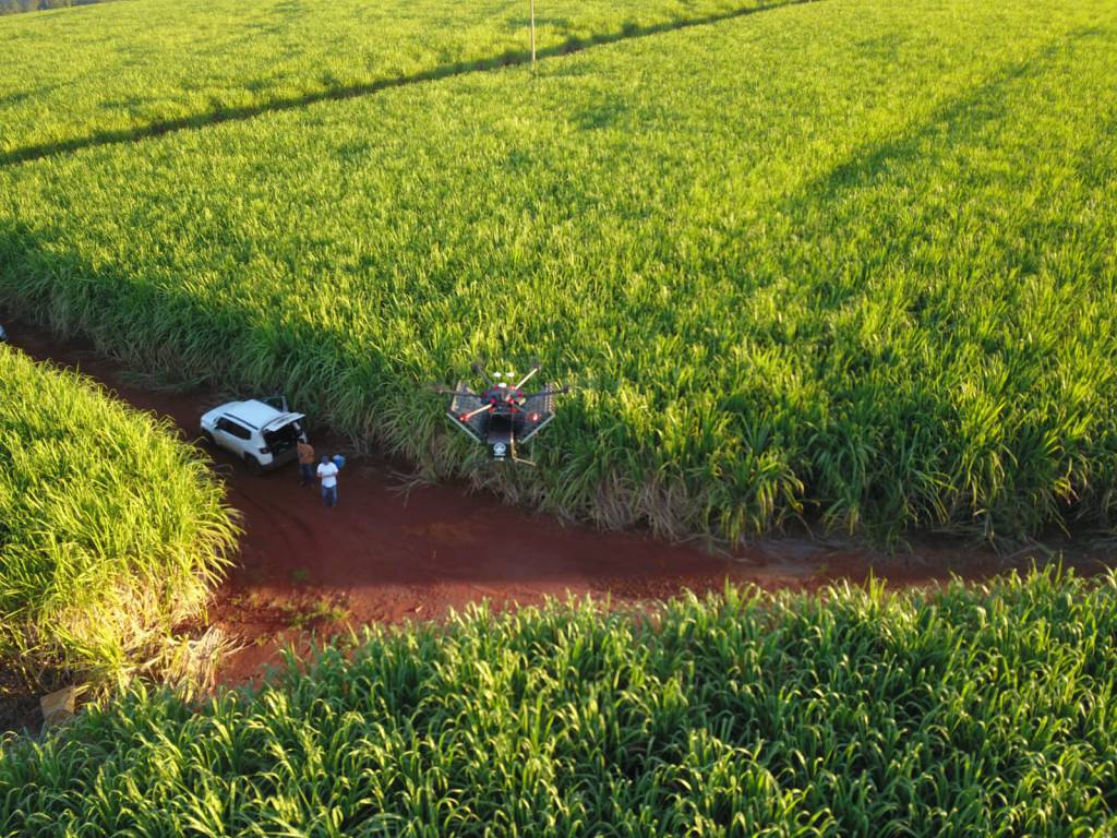 Moagem de cana tem queda de 13,6% na safra 21/22