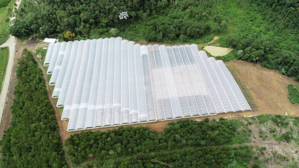 Chegada do Inverno exige cuidados extras em hortas