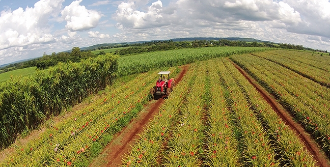 Seguro rural passa de 217 mil apólices em 2021, revela o Mapa
