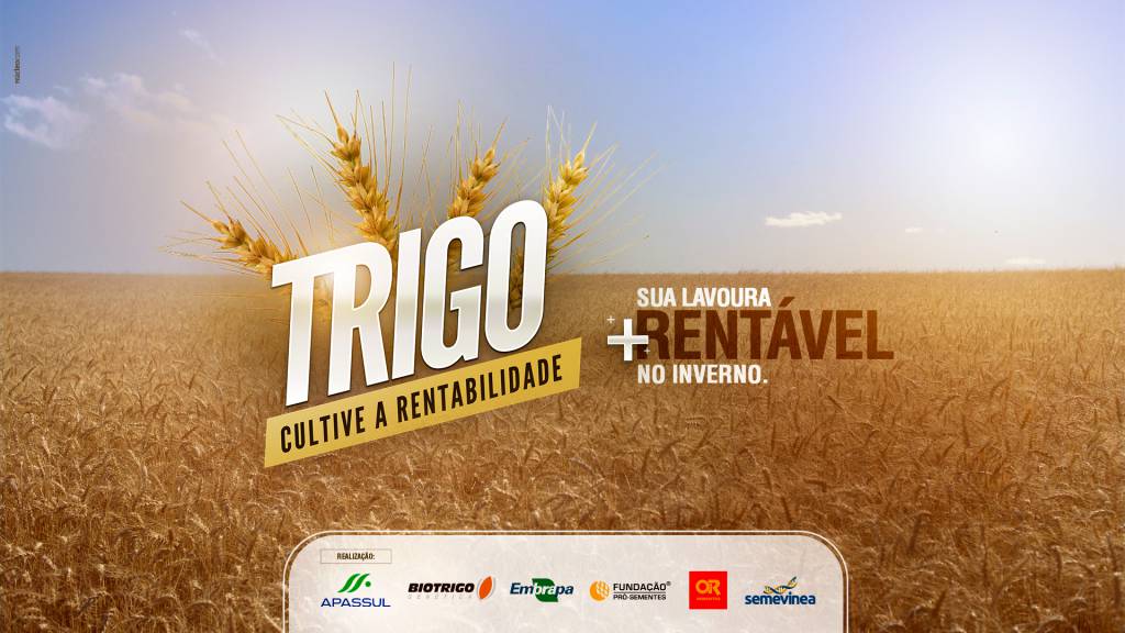 Campanha promove cultivo de trigo no Rio Grande do Sul  