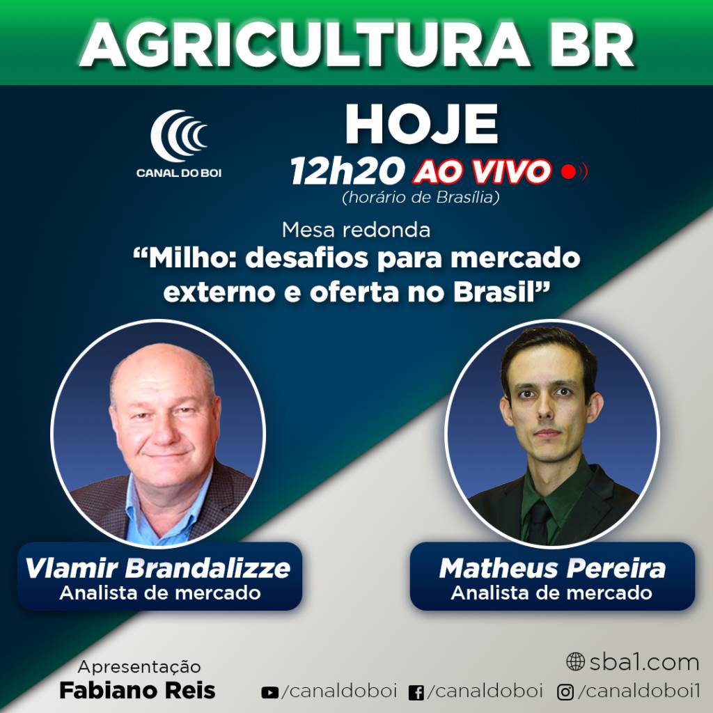 Canal do Boi promove evento sobre desafios e perspectivas para o milho