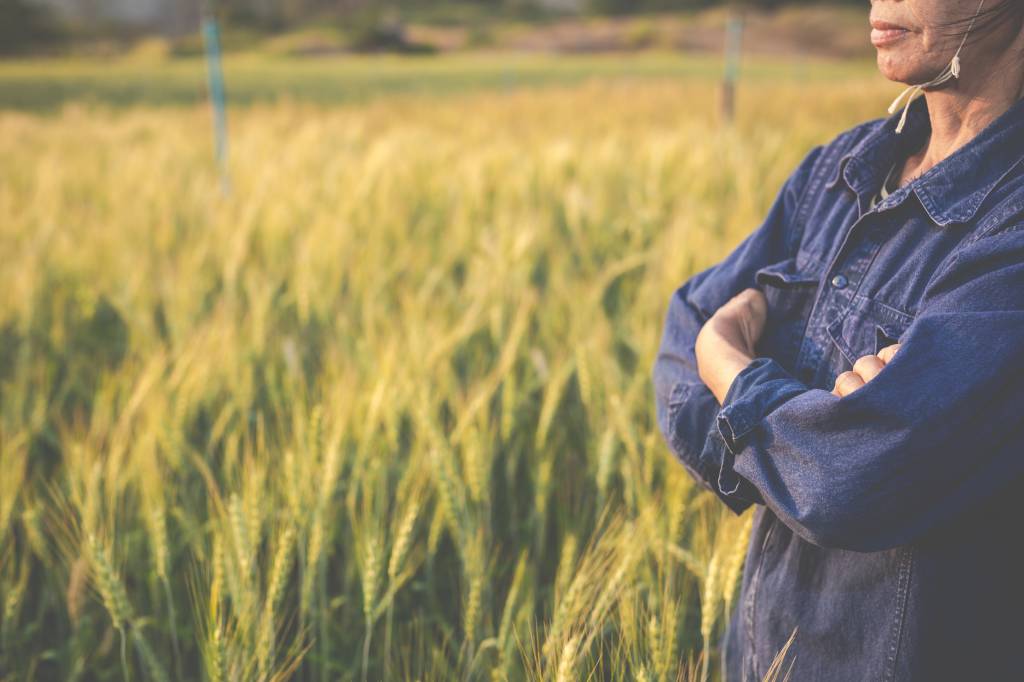 Mulheres no campo: presença feminina é crescente no agronegócio