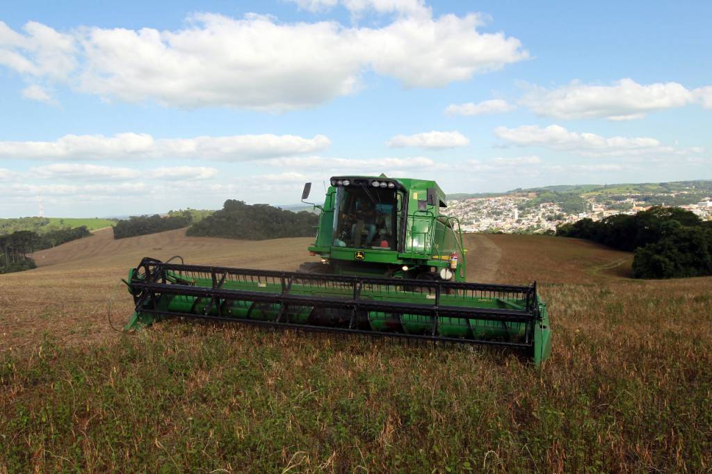 Adepar orienta sobre o uso de agrotóxicos no cultivo de feijão