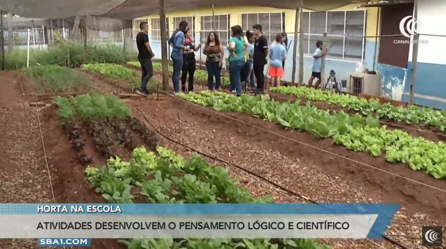 Viu esta reportagem? Assista agora a matéria 'Horta na escola'