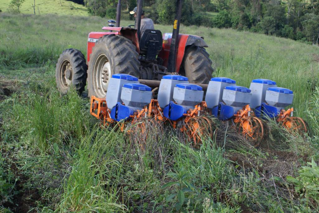 Alerta: falhas na plantadeira comprometem cultivo de milho