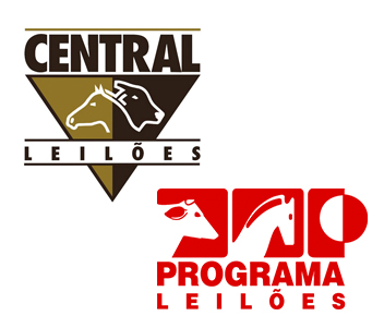 Central Leilões e Programa Leilões