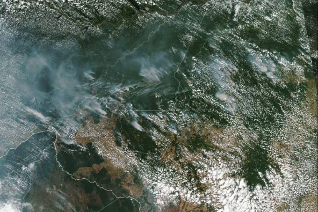 Incêndios em florestas atingem quatro países e diversos estados brasileiros