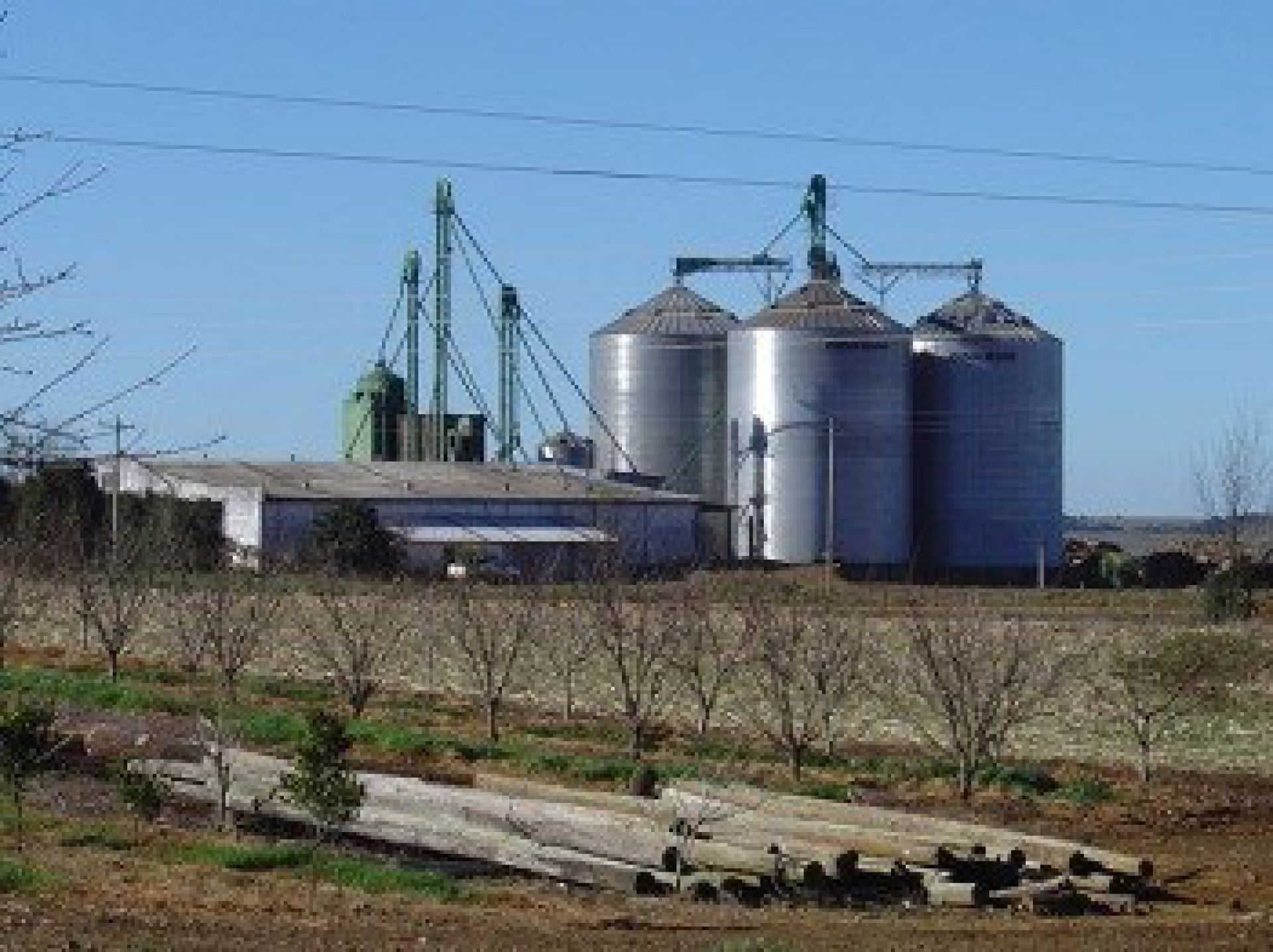  Conab inicia inspeção de arroz e milho em 4 estados e DF