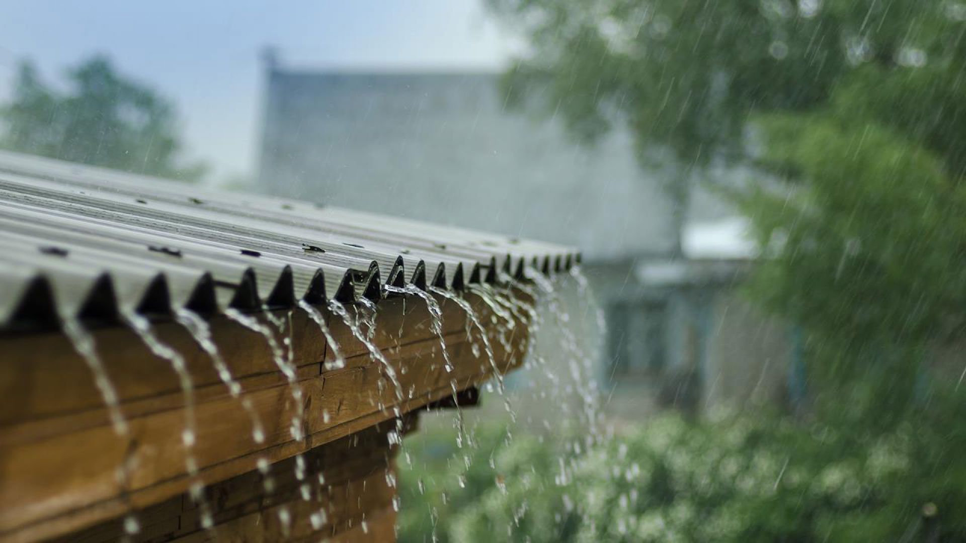 Confira a previsão de chuva para os próximos 15 dias