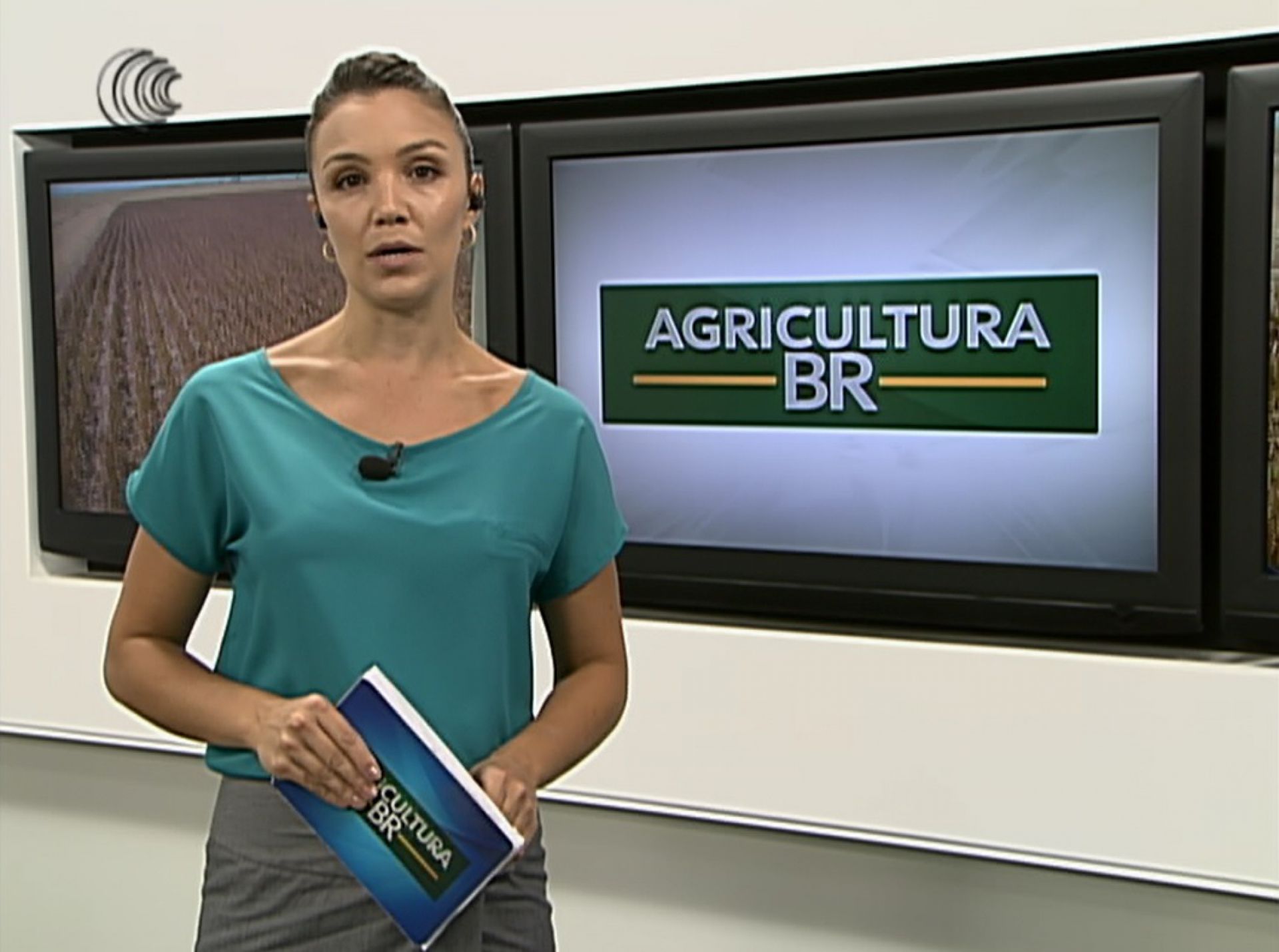 Cerca de 100 mil hectares não serão plantados com soja na Argentina devido ao déficit hídrico