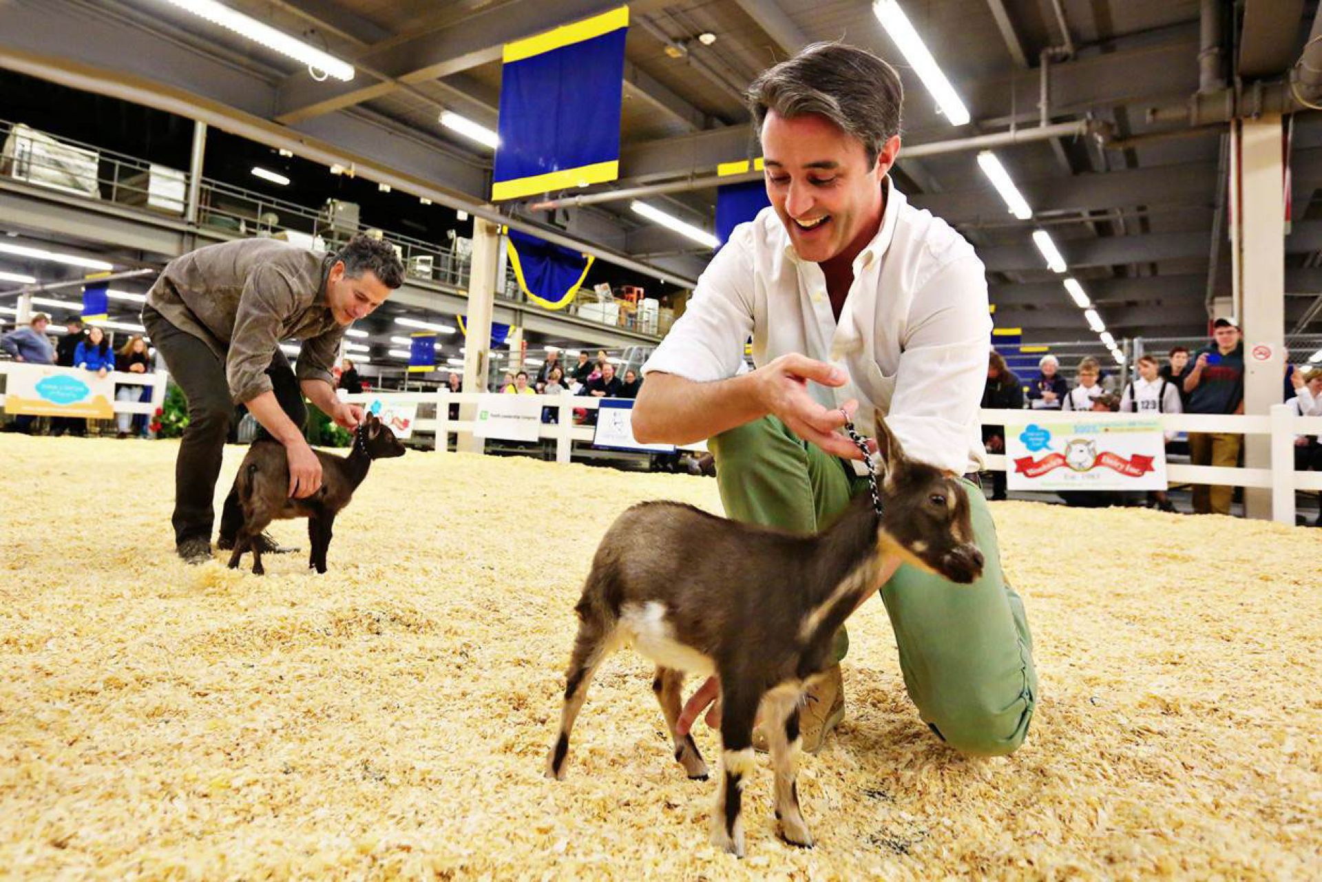 O Canal Do Boi acompanhou a visita à The Royal Agricultural Winter Fair