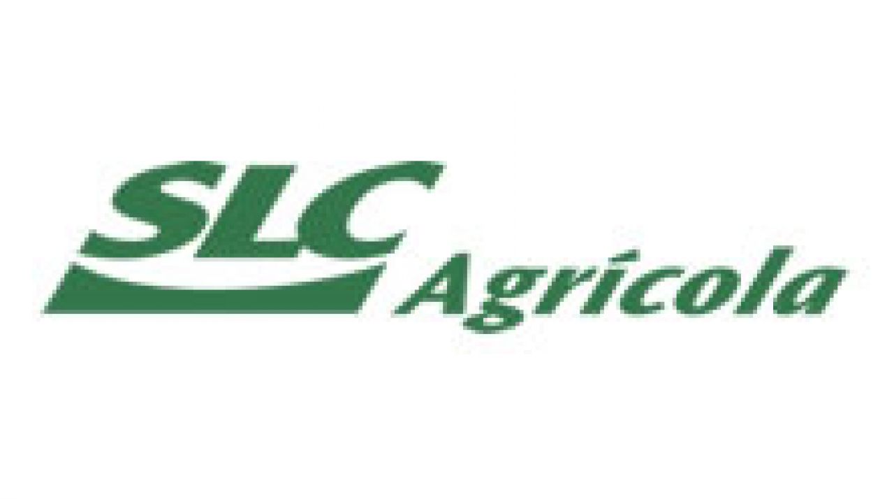 SLC agrícola: área em 2018/19 deve crescer 12,8%, para 455 mil/ha