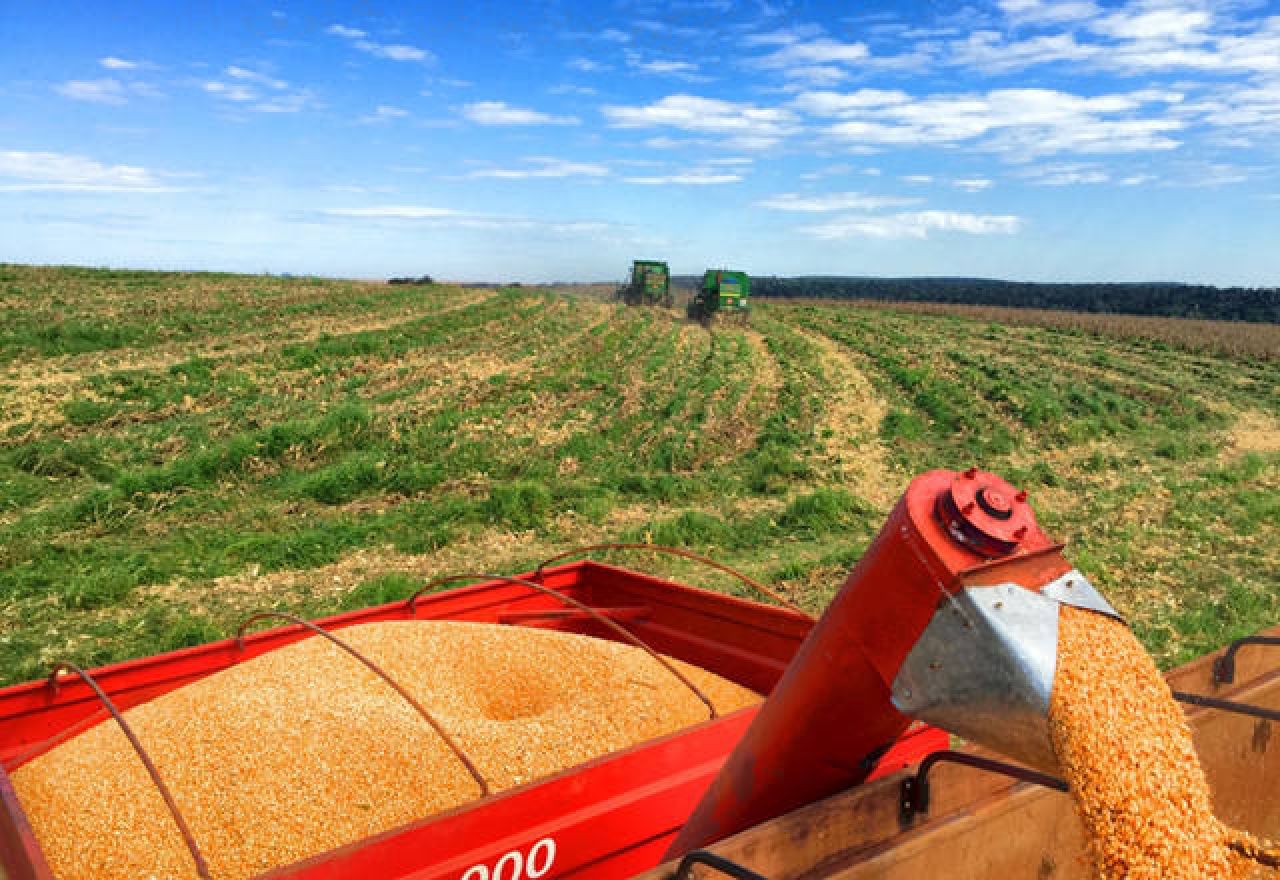Paraguai se destaca mundialmente na produção de etanol de milho