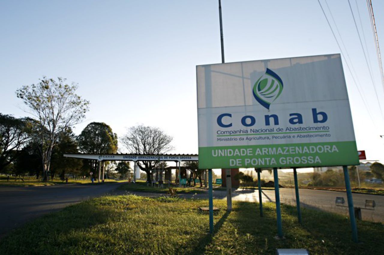 Por conta do milho, Conab reduz safra de grãos para 228 mi/ton