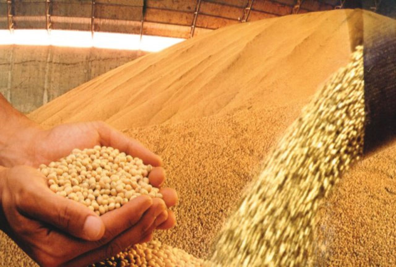 Receita com farelo de soja atinge U$$ 1,55 bilhões em junho