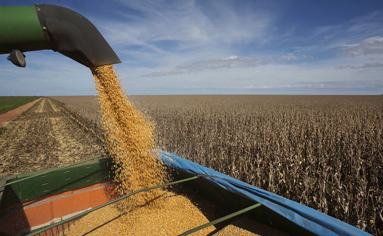 Paraguai supera Argentina como 3° maior exportador de Soja no mundo