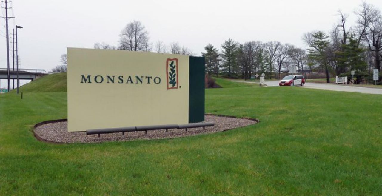 Justiça ordena que Monsanto deposite royalties de sementes de soja