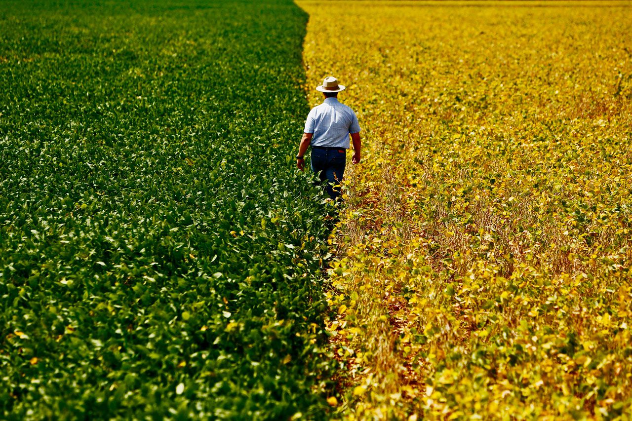 Ruralistas e entidades discutem formas de melhorar imagem do agro