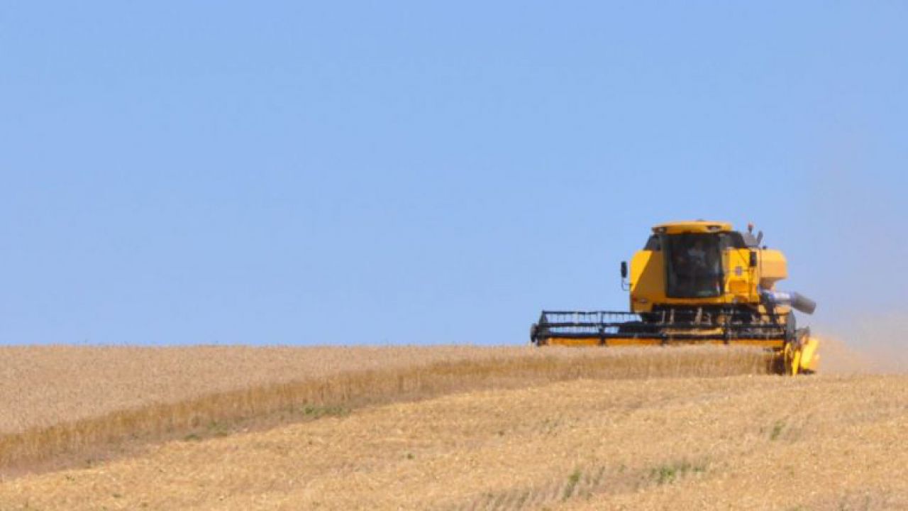 Argentina finaliza colheita de Soja com produção de 36 mi/ton