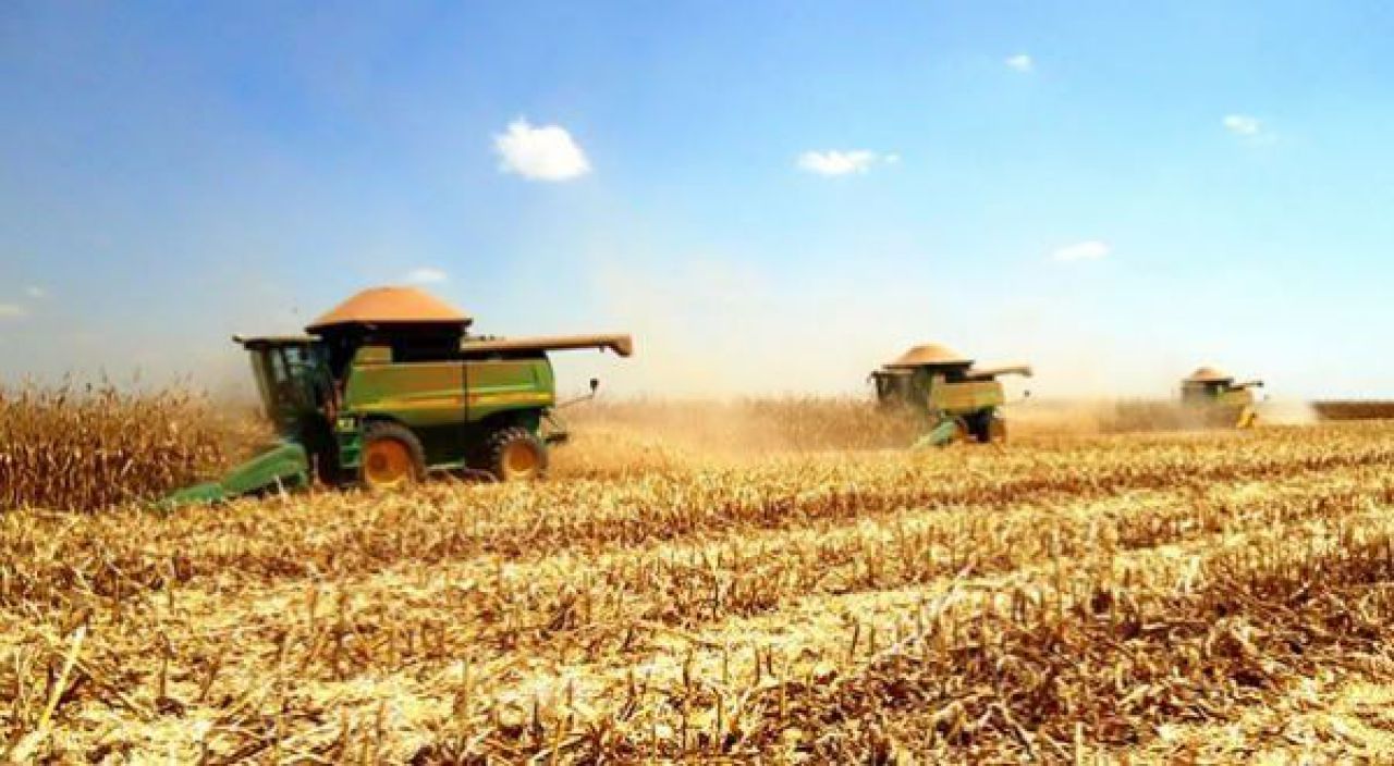 Conab reduz produção de milho do Brasil para 82,92 mi/ton