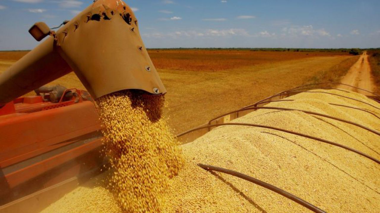 Exportação de soja cresce 13,3% em junho com relação ao mesmo mês de 2017