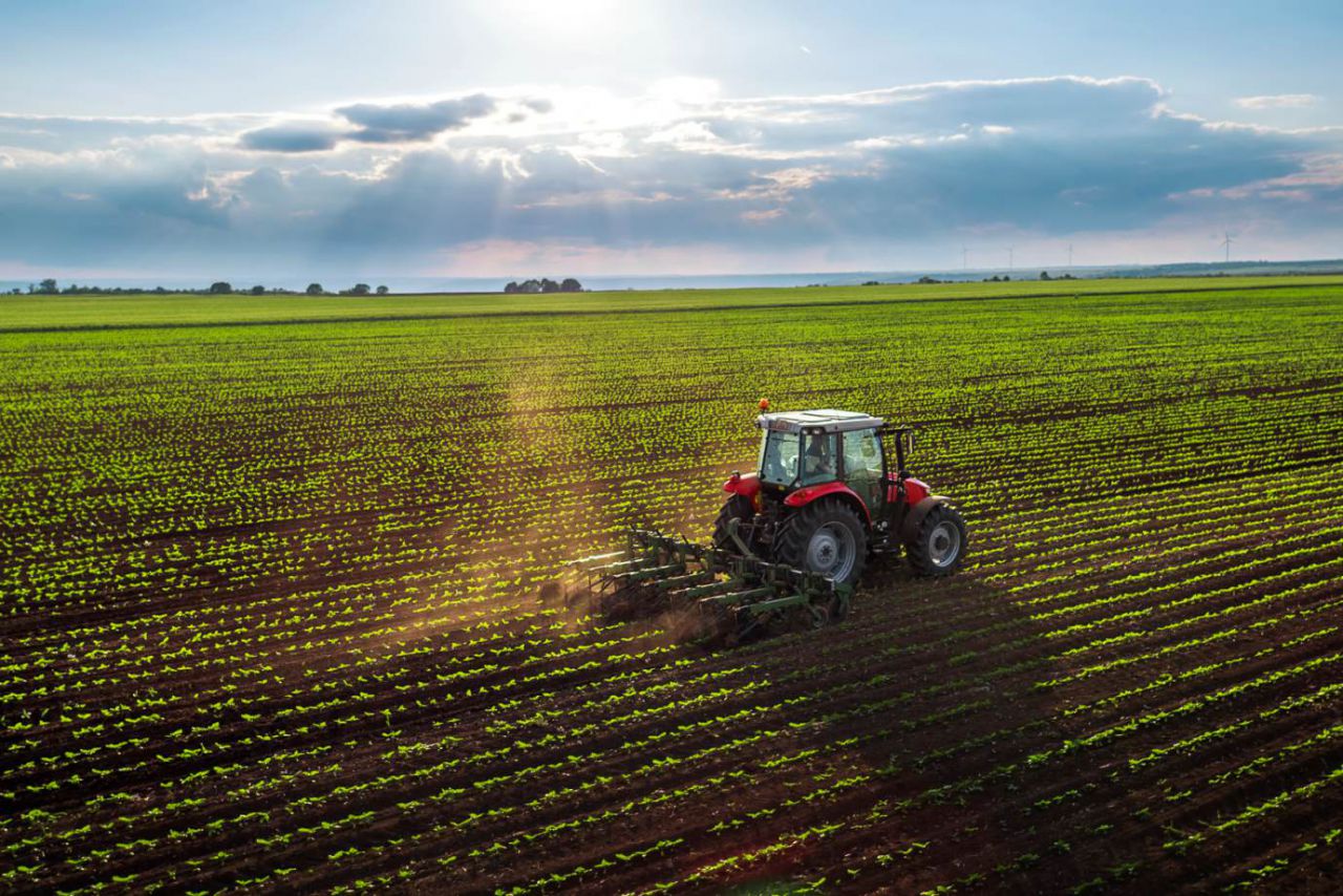 Caixa libera R$ 8,5 bi de crédito para o agronegócio na Safra 2018/19
