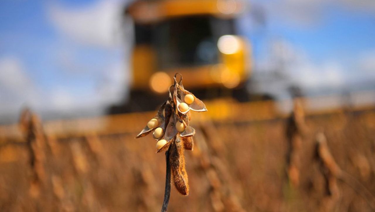 ABIOVE eleva estimativa de produção de soja no país