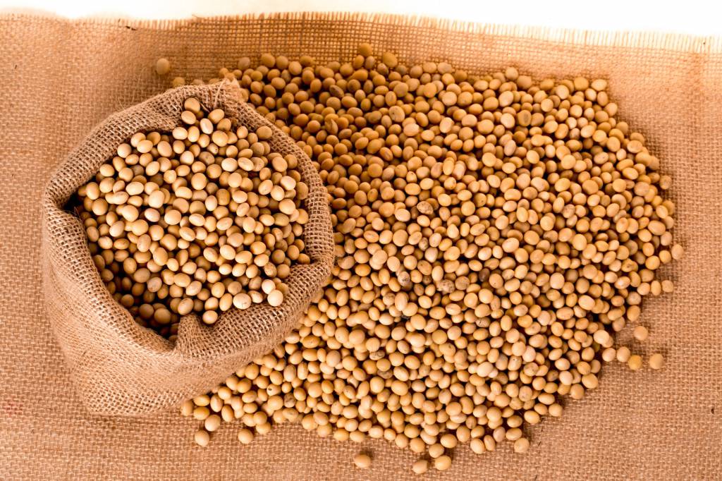 Chineses importam 20 cargas de soja brasileira