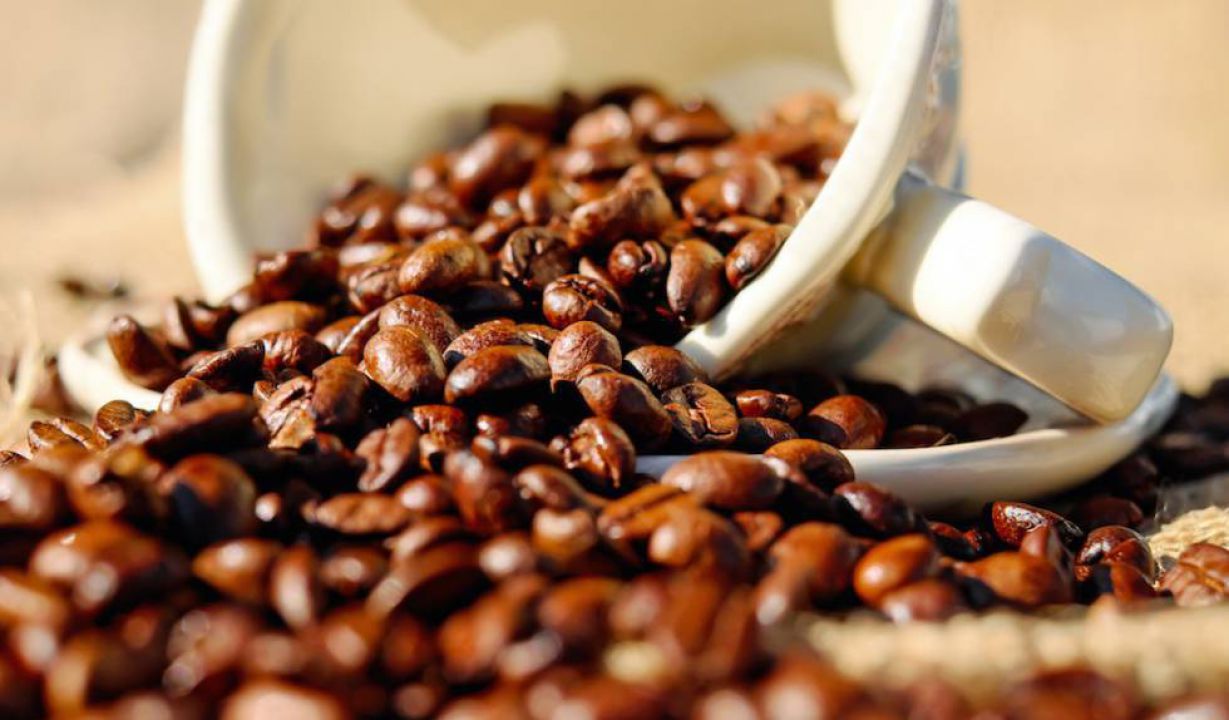 Estoques de café na Europa caíram em outubro e novembro do último ano