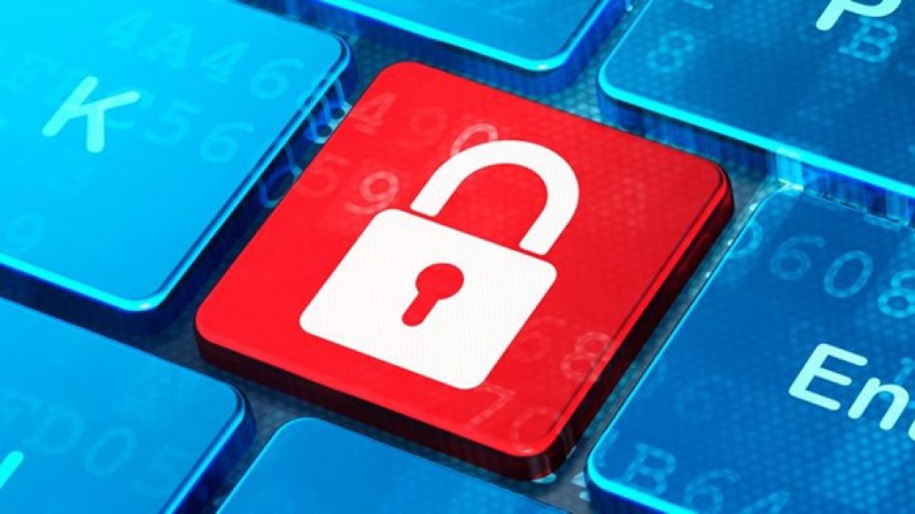 Fraude em site de leiloeira na internet