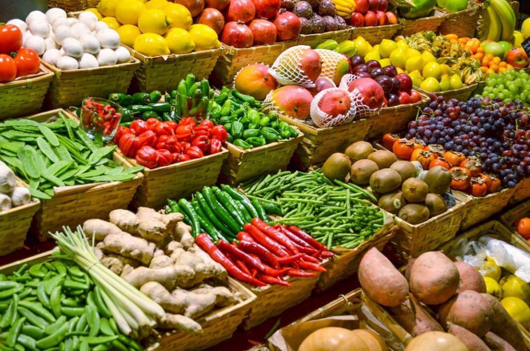 Ministra do MAPA pretende incluir alimentos orgânicos na merenda escolar