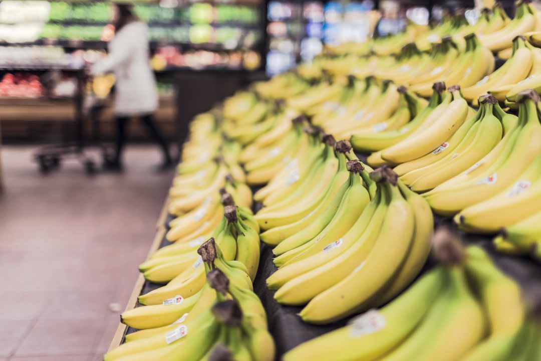 Vendavais prejudicam bananeiras 