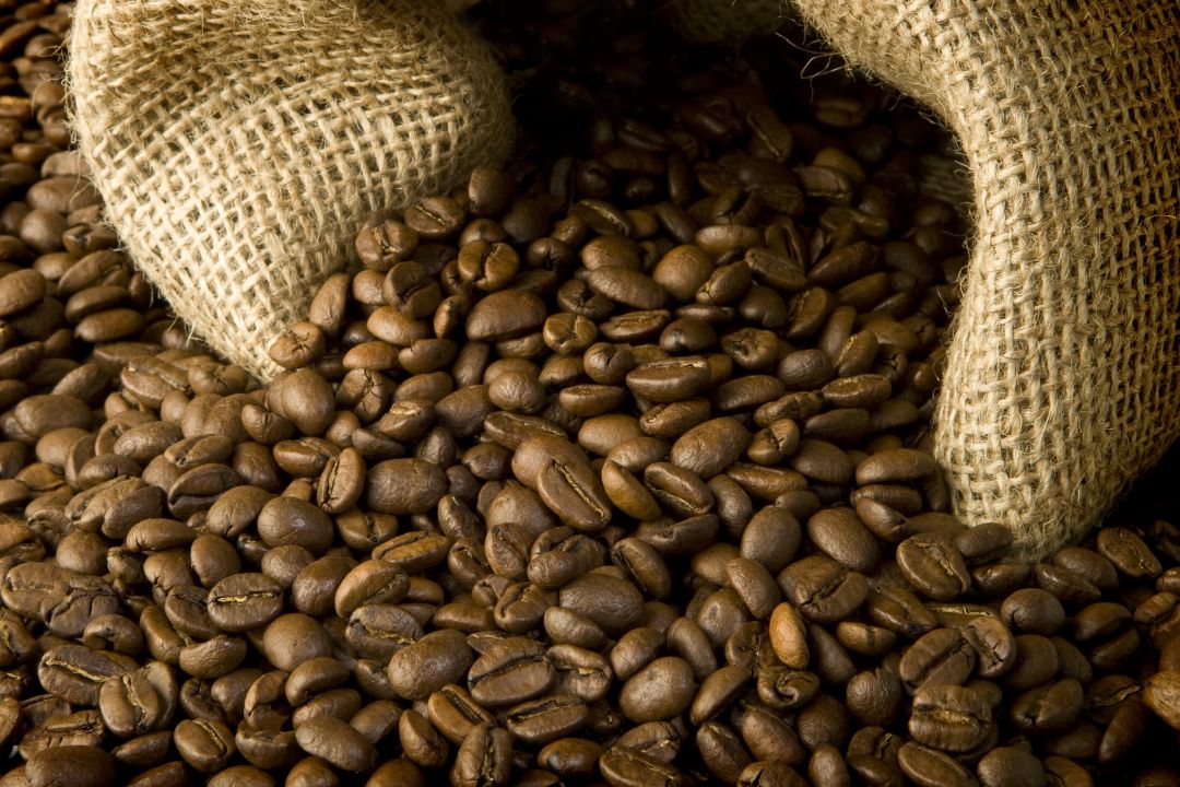 Colheita do café deverá ser intensificada 